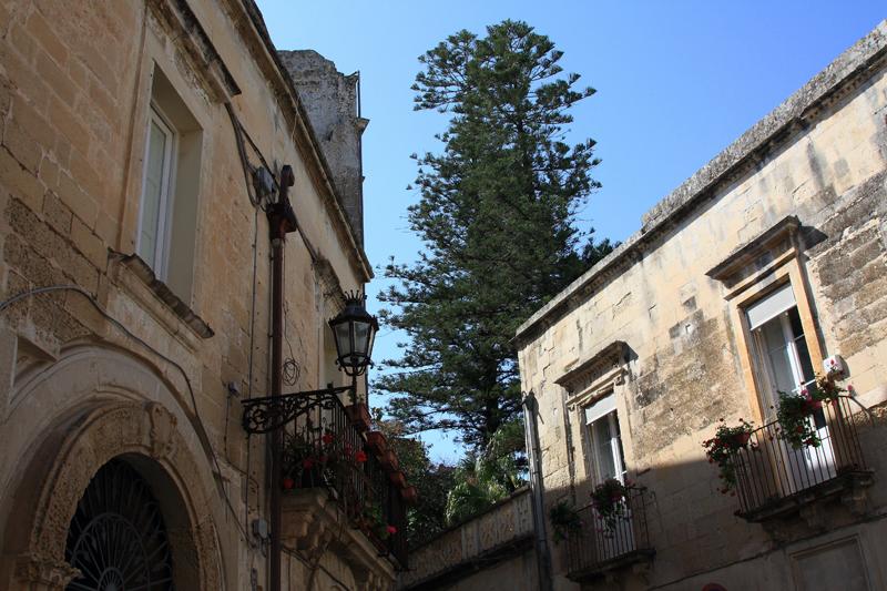 296-Lecce,28 aprile 2013.JPG